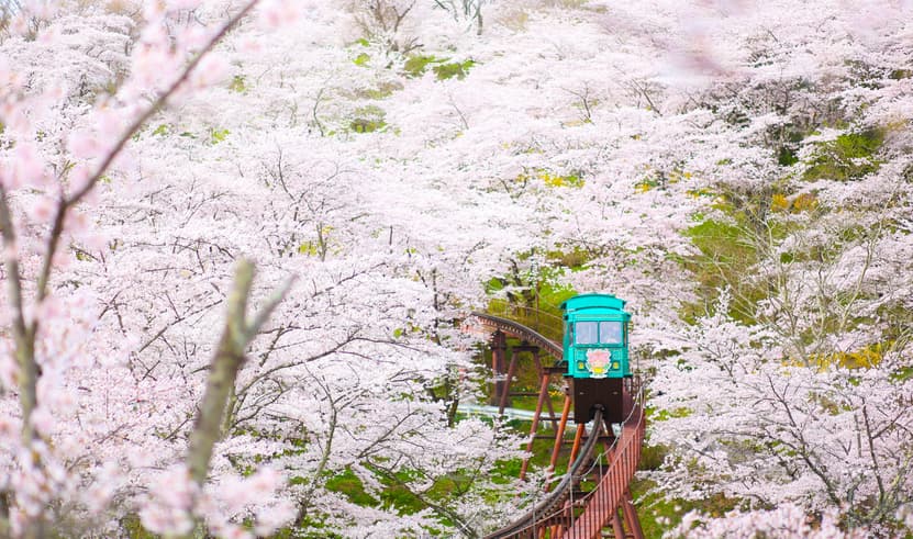 ทัวร์ญี่ปุ่น โตเกียว 7 วัน 4 คืน ZGNRT-2612SQ สวนฟุนาโอกะโจชิ หมู่บ้านญี่ปุ่นโบราณโออุชิจูกุ ทะเลสาบอินาวะชิโระ (ซากุระ) บิน SQ (BKK)