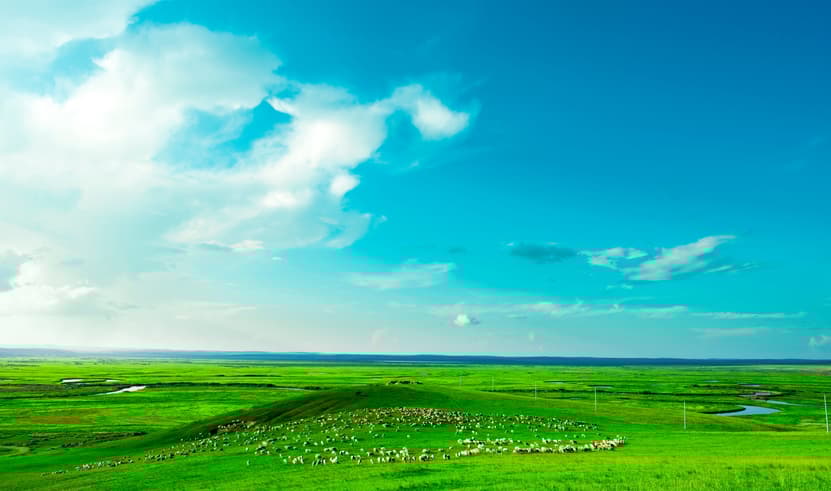 ทัวร์จีน มองโกเลียใน 5 วัน 4 CVZ312 หุบเขาแม่น้ำหวงเหอ ทะเลทรายเสี่ยงชาวาน พิพิธภัณฑ์เงินมองโกล ทุ่งหญ้าเออร์ดอส บิน VZ (BKK)