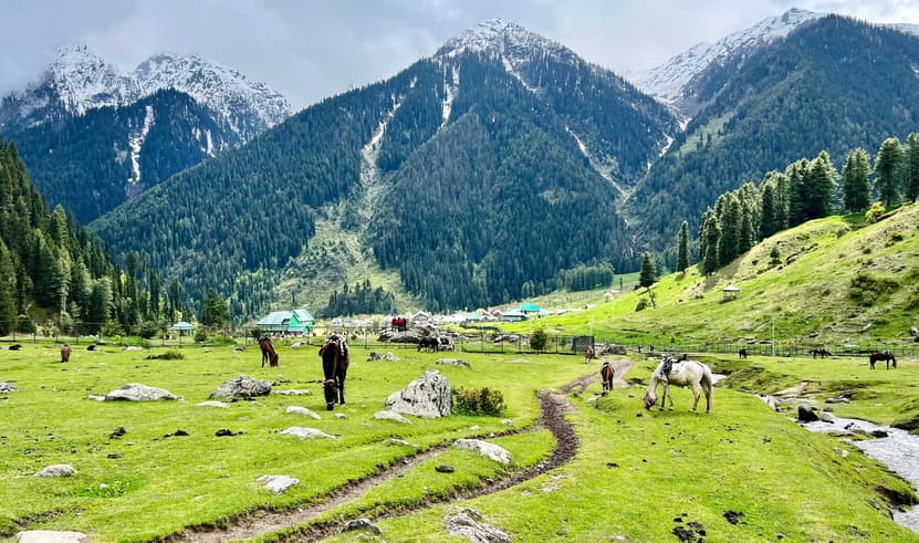 ทัวร์อินเดีย แคชเมียร์ 6 วัน 4 คืน ZGSXR-2601AI เทือกเขาโซนามาร์ค ธารน้ำแข็งกราเซีย สวนโมกุล พาฮาลแกรม บิน AI (BKK)