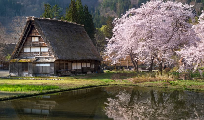 ทัวร์ญี่ปุ่น โอซาก้า ทาคายาม่า 5 วัน 3 คืน  CXJKIX9 วัดนันเซ็นจิ ชิราคาวาโกะ สะพานนาคาบาชิ ถนนซันมาจิซูจิ บิน XJ (DMK)