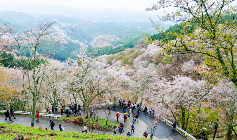 ทัวร์ญี่ปุ่น โอซาก้าทาคายาม่า 5 วัน 3 คืน CXJKIX10 วัดคิมปุเซ็นจิ ชิราคาวาโกะ สะพานนาคาบาชิ ศาลเจ้าฟูชิมิ อินาริ บิน XJ (DMK)