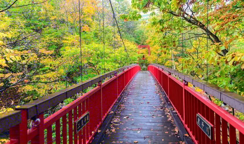 ทัวร์ญี่ปุ่น ฮอกไกโด 5 วัน 3 คืน ZGCTS-2612VZ สวนฮิราโอกะ บ่อน้ำพุร้อนโจซังเค สะพานแขวนฟุตามิ พระใหญ่อะตามะ บิน VZ (BKK)