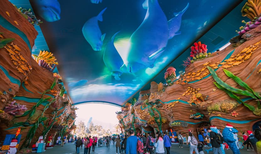 ทัวร์จีน กวางโจว 5 วัน 4 คืน SHCZCAN8 ถนหย่งชิ่งฟาง วัดพระใหญ่ Chimelong Ocean Kingdom วัดผู่ถัว บิน CZ (BKK)