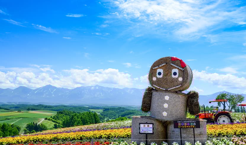 ทัวร์ญี่ปุ่น ฮอกไกโด  5 วัน 3 คืน ZGCTS-2611VZ ฟาร์มโทมิตะ คลองโอตารุ  พิพิธภัณฑ์กล่องดนตรี ถนนซาไกมาชิ บิน VZ (BKK)