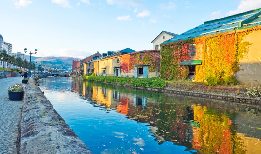 ทัวร์ญี่ปุ่น ฮอกไกโด 6 วัน 4 คืน เทศกาลดอกไม้ไฟริมทะเลสาบโทยะ ทุ่งดอกลาเวนเดอร์ ซับโปโร บิน TG (BKK)