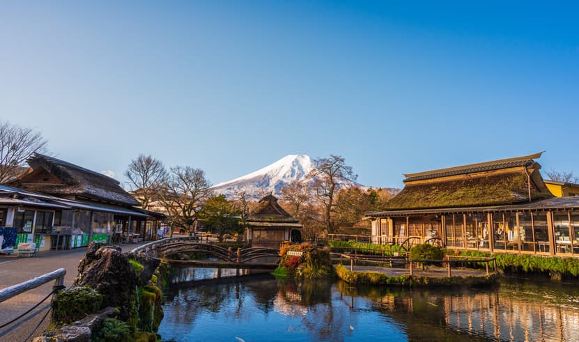 ทัวร์ญี่ปุ่น โตเกียว 5 วัน 3 คืน NRT89 หมู่บ้านโอชิโนะฮัคไค ช้อปปิ้งชินจูกุ ศาลเจ้าเอโนะชิมะ บิน XJ (DMK)