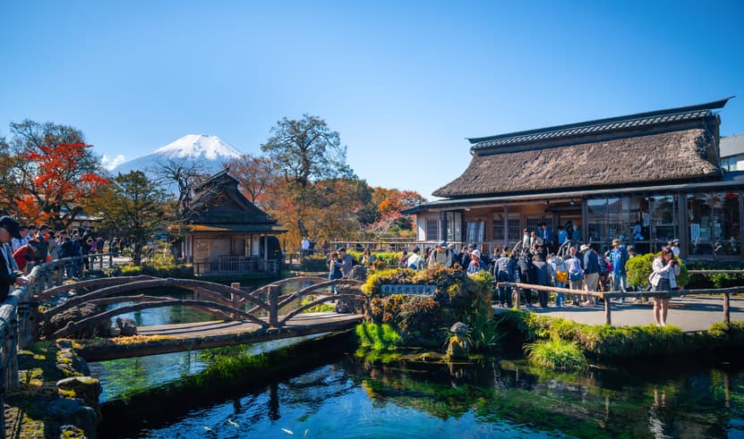 ทัวร์ญี่ปุ่น โตเกียว 5 วัน 3 คืน NRT90 ย่านช้อปปิ้งฮาราจูกุ ย่านช้อปปิ้งชินจูกุ ตลาดปลาโทโยสุ