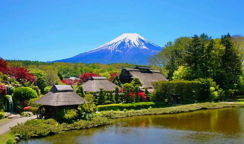 ทัวร์ญี่ปุ่น โตเกียว 6 วัน 4 คืน NRT79 ตลาดปลาโทโยสุ หมู่บ้านน้ำใส โอชิโนะฮัคไค ชมทุ่งดอกไม้ ชินจูกุ บิน XJ (DMK)