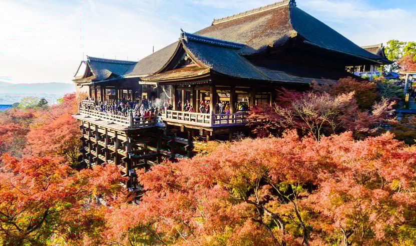 ทัวร์ญี่ปุ่น โอซาก้า 6 วัน 4 คืน ZGKIX-2622MM วัดคิโยมิสึ  ตลาดปลาคุโรมง โอซาก้าชินไซบาชิ บิน MM (BKK)