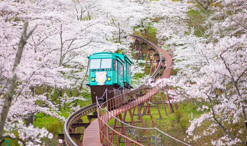 ทัวร์ญี่ปุ่น เซนได 6 วัน 4 คืน RJ-XJ132 ปราสาทฮิโรซากิ ล่องเรือเทบิเค พระใหญ่โชวะ พิพิธภัณฑ์เนบุตะ บิน XJ (DMK)