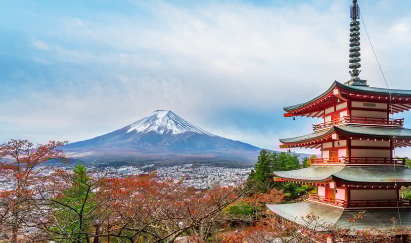 ทัวร์ญี่ปุ่น โตเกียว 5 วัน 3 คืน XJ352 สวนดอกไม้ จุดชมวิวทะเลสาบคาวากูจิโกะ ช้อปปิ้งไดเวอร์ซิตี้ บิน XJ (DMK)