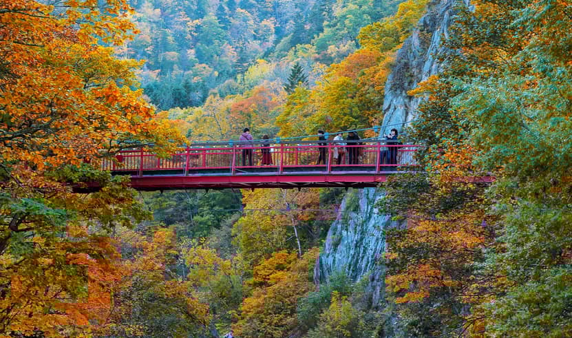 ทัวร์ญี่ปุ่น ฮอกไกโด 6 วัน 4 คืน CTS68 หุบเขานรกจิโกคุดานิ ภูเขาไฟอุสุซาน สะพานแขวนฟูตามิ บิน XJ (DMK)