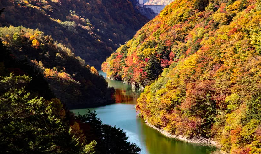 ทัวร์ญี่ปุ่น โตเกียว 5 วัน 3 คืน NRT01 ทุ่งโคเชีย สวนโออิชิ คามิโคจิ ปราสาทมัตสึโมโต้ หมู่บ้านน้ำใส โอชิโนะฮัคไค บิน XJ (DMK)