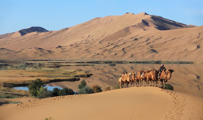 ทัวร์จีน มองโกเลียใน 6 วัน 5 คืน ZGDSN-2602VZ ทุ่งหญ้าออร์ดอส ถนนโบราณไซซ่าง ทะเลสาบอูลาน บิน VZ (BKK)