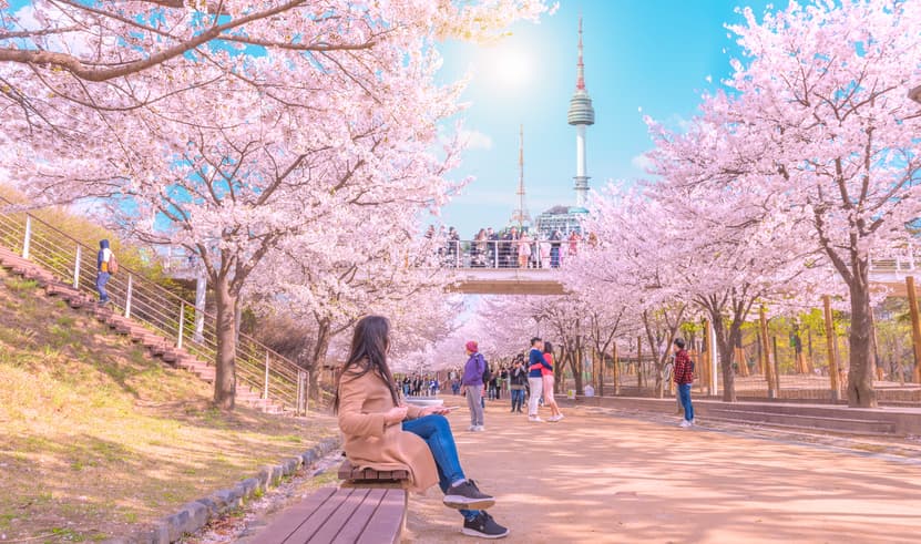 ทัวร์เกาหลี 5 วัน 3 คืน WEKR-SKSSB2026 เกาะนามิ อุทยานแห่งชาติซอรัคซาน เอเวอร์แลนด์ พระราชวังเคียงบกกุง บิน TW