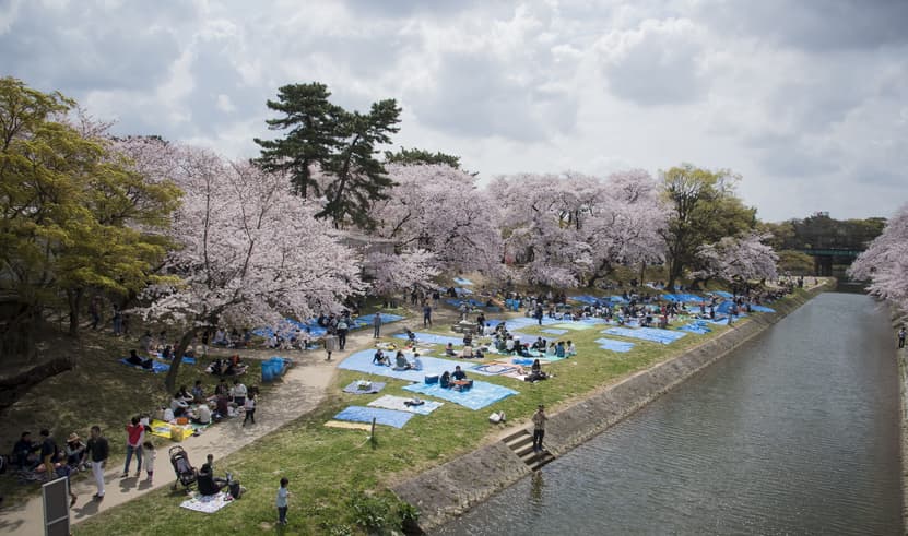 ทัวร์ญี่ปุ่น ทาคายาม่า 6 วัน 4 คืน GO2NGO-TG084 หมู่บ้านชิราคาวาโกะ ทะเลสาบบิวะ  ตลาดปลาคุโรมง บิน TG (BKK)