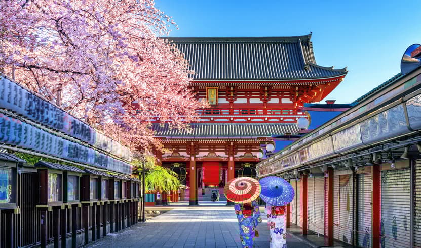 ทัวร์ญี่ปุ่น  โตเกียว 5 วัน 3 คืน PJPNRT21-SL  วัดอาซากุสะ พิพิธภัณฑ์แผ่นดินไหว ช้อปปิ้งชินจูกุ บิน SL (DMK)