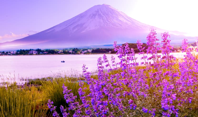 ทัวร์ญี่ปุ่น โตเกียว 5 วัน 3 คืน ZGNRT-2617VZ วัดอาซากุสะ สวนโออิชิปาร์ค ย่านชินจูกุ บิน VZ (BKK)