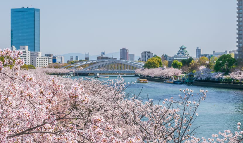 ทัวร์ญี่ปุ่น โตเกียว 6 วัน 4 คืน GO2NRT-TG099 สวนดอกไม้ฮามามัตสึ  หุบเขาโอวาคุดานิ ช้อปปิ้งชินไซบาชิ บิน TG (BKK)