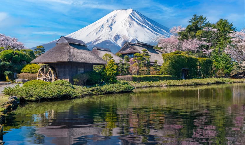 ทัวร์ญี่ปุ่น โตเกียว 6 วัน 3 คืน GO2HND-TG052 ชมวิวฟูจิ ริมทะเลสาบคาวากุจิโกะ อุโมงค์ใบเมเป้ิล โมมิจิ ไคโร ช้อปป้ิง ถนนนากามิเสะ บินTG661 (BKK) 