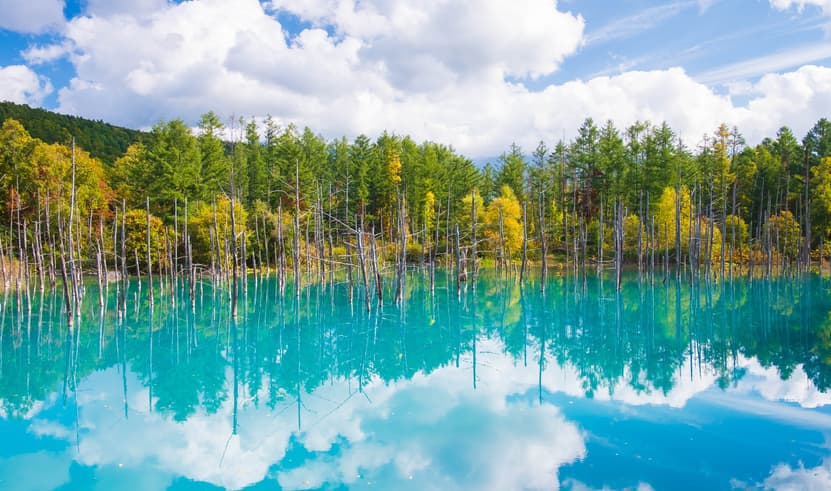 ทัวร์ญี่ปุ่น ฮอกไกโด 6 วัน 4 คืน XJ356 เมืองโอตารุ  บ่อน้ำสีฟ้า น้ำตกชิราฮิเกะ  บิน XJ (DMK)