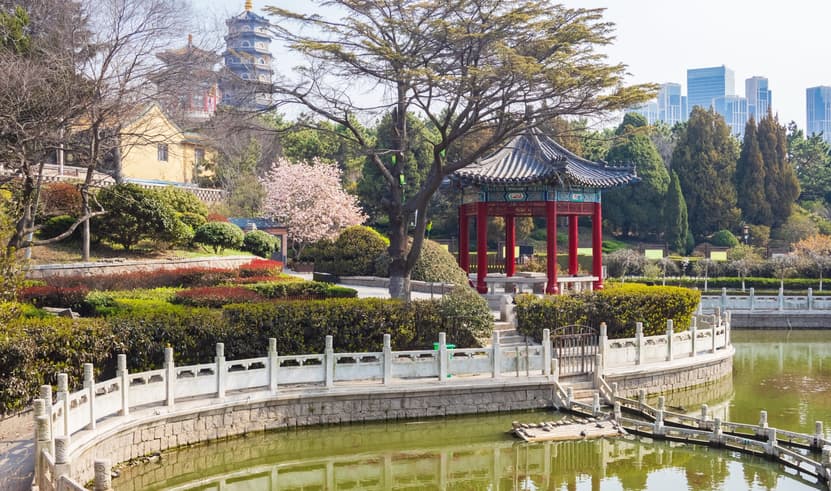 ทัวร์จีน ชิงเต่า 6 วัน 4 คืน JTTNA-SC3C ชมซากุระ ทะเลสาบต้าหมิง บ่อน้ำพุร้อนเป้าทูเฉวียน หมู่บ้านประมงไฮซาง  บิน SC (BKK)