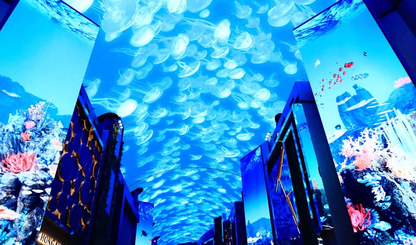 ทัวร์เกาหลี โซล 4 วัน 2 คืน KBX67 ย่านฮงแด พระราชวังเคียงบก INSPIRE MEDIA ART บิน BX (CNX)