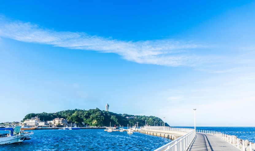 ทัวร์ญี่ปุ่น โตเกียว ฟูจอ 5 วัน 3 คืน JXJ288X สวนโออิชิปาร์ค พระใหญ่คามาคุระ เกาะเอโนชิมะ อิสระท่องเที่ยวหนึ่งวัน บิน XJ (DMK)