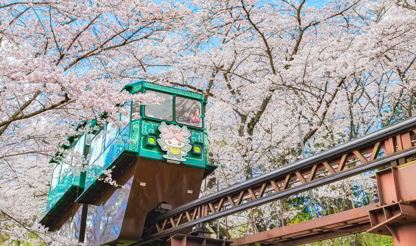 ทัวร์ญี่ปุ่น โอซาก้า โตเกียว VN012 หมู่บ้านมรดกโลกซิราคาวาโกะ ชมแมวยักษ์ 3 มิติ หมู่บ้านโอชิโนะฮักไก บิน VN618 (BKK) 