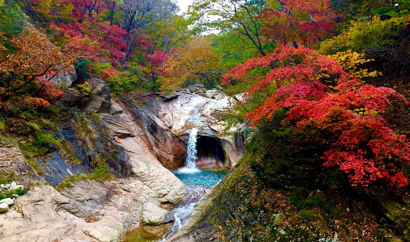 ทัวร์เกาหลี โซล 5 วัน 3 คืน WDICN008 อุทยานซอรัคซาน เกาะนามิ สวนสนุกเอเวอร์แลนด์ หมู่บ้านโบราณอึนพยอง บิน TW (BKK)