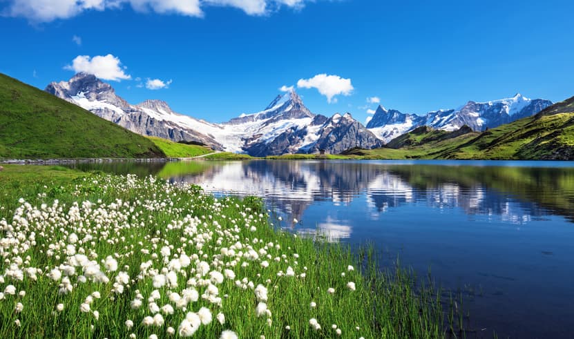 ทัวร์สวิตเซอร์แลนด์ 9 วัน 6 คืน STG164 บ่อหมีสีน้ำตาล เขากอร์นเนอร์แกรต ปราสาทน้ำแข็ง เมืองกรินเดลวัลด์ บิน TG (BKK)