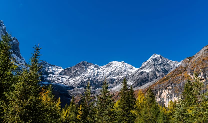 ทัวร์ยุโรป สวิตเซอร์แลนด์ 8 วัน 5 คืน SEK162 ทะเลสาบเบรียซ์ อลังการน้ำตกไรน์  ช้อปปิ้งถนนบาห์นโฮฟซตราเซอร์ บิน EK377 (BKK) 