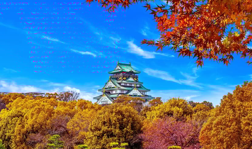 ทัวร์ญี่ปุ่น โอซาก้า 5 วัน 3 คืน JVZ275 ขึ้นกระเช้าลอยฟ้าโกไซโซ ถนนชาเขียว ปราสาทโอซาก้า บิน VZ822 (CNX) 