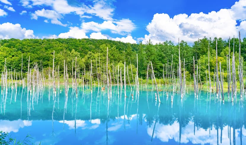 ทัวร์ญี่ปุ่น ฮอกไกโด 5 วัน 3 คืน BT-CTS_A01_XJ บ่อน้ำสีฟ้า ศาลเจ้าฮอกไกโด คลองโอตารุ หมู่บ้านนิงเกิ้ลเทอเรซ บิน XJ (DMK)