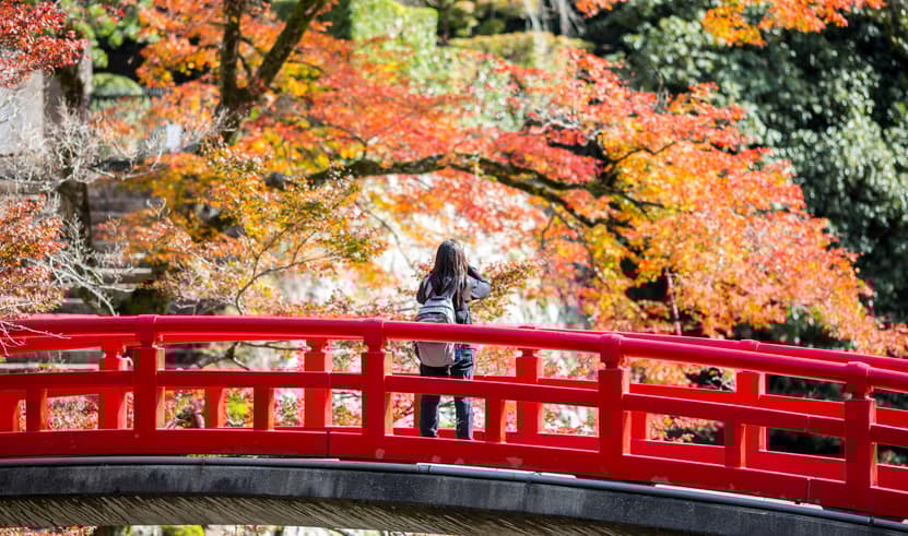 ทัวร์ญี่ปุ่น โตเกียว โอซาก้า 6 วัน 4 คืน GO2HND-TG056 วัดไทเซคิจิ อุโมงค์ใบเมเปิ้ล ช้อปปิ้งซาคาเอะ บิน TG682 (BKK)