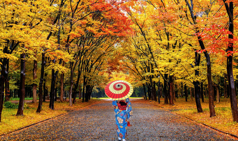 ทัวร์ญี่ปุ่น 6 วัน 4 คืน GO2KIX-TG085 ปราสาทฮิเมจิ สวยโอคายาม่า โคราคุเอ็น ภูเขาไดเซ็น บิน TG622 (BKK)