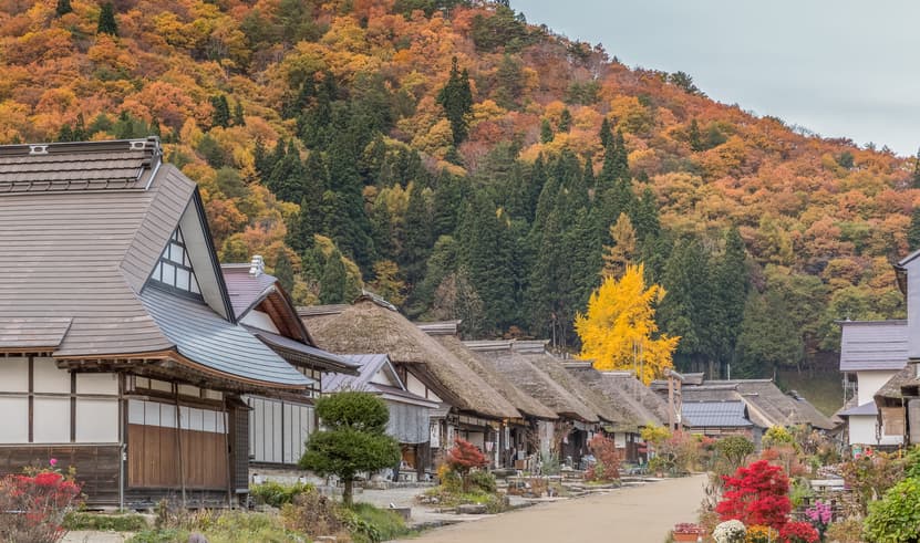 ทัวร์ญี่ปุ่น โตเกียว 6 วัน 4 คืน GO2NRT-TG101 ฤดูกาลใบไม้เปลี่ยนสี เมืองเก่าคาวาโกเอะ อุโมงค์แห่งแสง  หมู่บ้านโออูจิ จู บิน TG (BKK)
