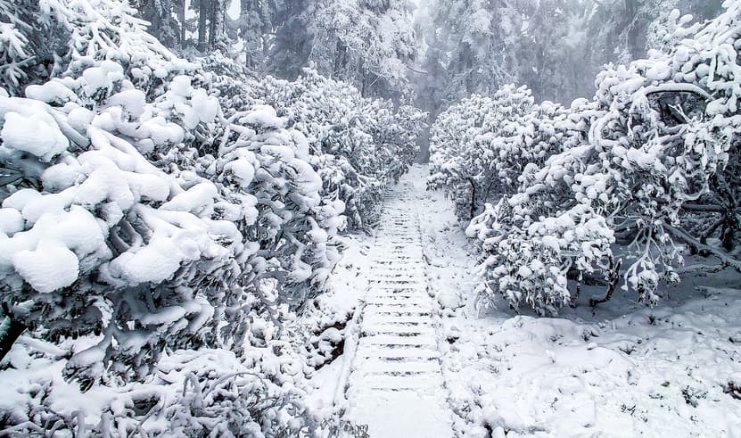 ทัวร์จีน เฉิงตู 5 วัน 3 คืน ZGTFU-26263U อุทยานปี้เผิงโกว น้ำตไป๋หลง อุทยานภูเขาหิมะวาวูซาน บิน 3U (BKK)