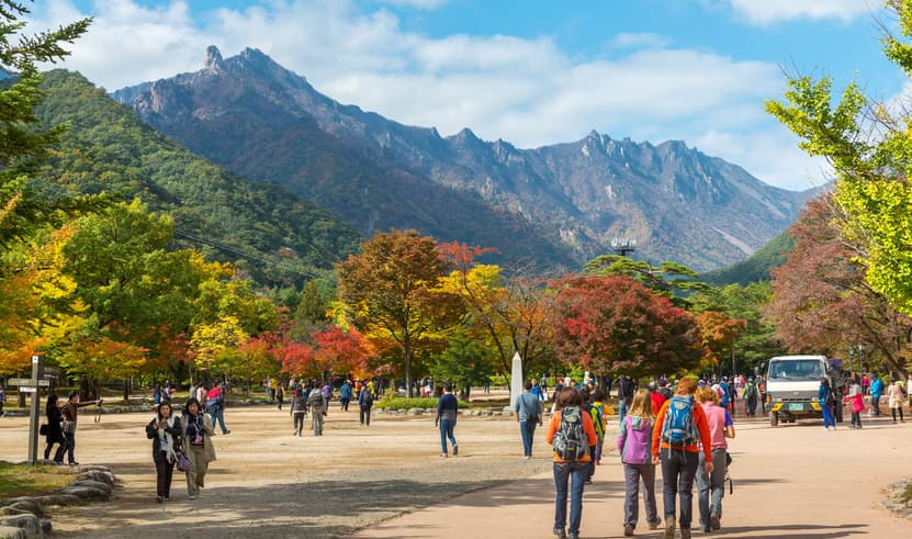 ทัวร์เกาหลี โซล 5 วัน 3 คืน WEKR-SAS2026 เกาะนามิ อุทยานแห่งชาติซอรัคซาน พระราชวังเคียงบก บิน 7C หรือ TW (BKK)