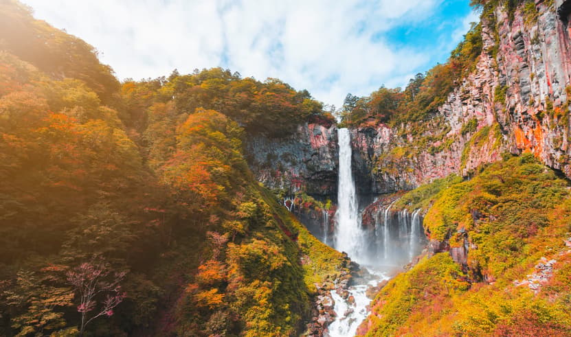 ทัวร์ญี่ปุ่น โตเกียว นิกโก้ 6 วัน 4 คืน ZGHND-2639NH เก็บภาพทิวทัศน์ใบไม้เปลี่ยนสี น้ำตกเคงอน สะพานชินเคียว ช้อปปิ้งที่ชินจูกุ บิน NH (BKK)