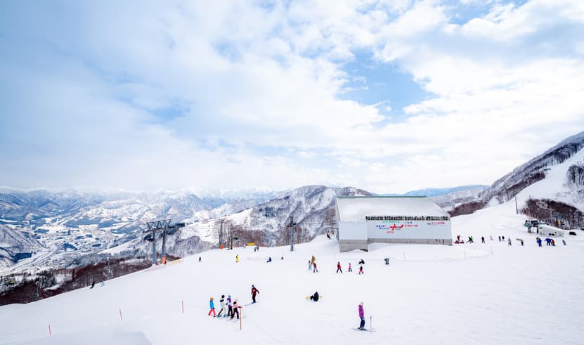 ทัวร์ญี่ปุ่น โตเกียว 5 วัน 3 คืน CXJNRT23NY คาวาโกเอะ เก็บสตรอว์เบอร์รี่สดๆ GALA YUZAWA SNOW RESORT  บิน XJ (DMK)