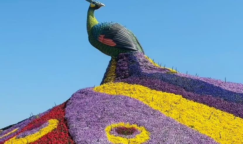 ทัวร์จีน คุนนหมิง 4 วัน 3 คืน CKYKMG7 ภูเขาหิมะเจียวจื่อ สวนดอกไม้ QICAI FLOWER SEA OF DOUNAN วัดหยวนทง บิน KY (BKK)