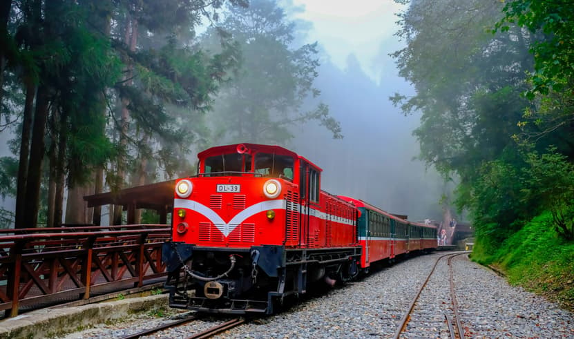 ทัวร์ไต้หวัน 5 วัน 4 คืน TPE62 อุทยานอาลีซาน วัดหลงซาน หมู่บ้านโบราณจิ่วเฟิ่น หมู่บ้านแมวไต้หวัน เที่บวปีใหม่ บิน JX (BKK)