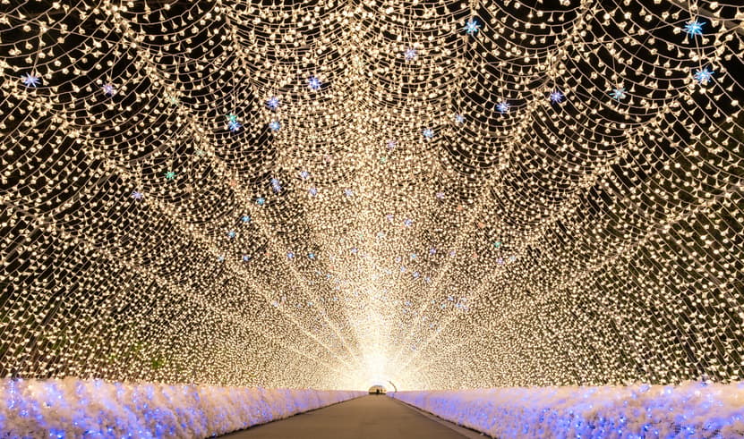 ทัวร์ญี่ปุ่น โอซาก้า 6 วัน 4 คืน ZGKIX-2651MM เทศกาลแสงสีนาบานะโนะซาโตะ ศาลเจ้าฟูชิมิอินาริ หมู่บ้านชิราคาวาโกะ บิน MM (BKK)