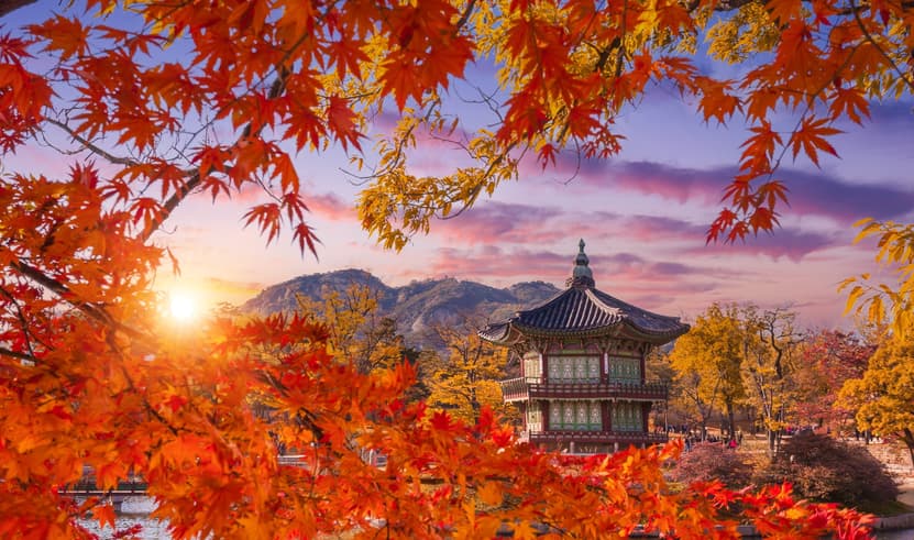 ทัวร์เกาหลี โซล โพชอน 5 วัน 3 คืน 2UICN-TW006 หุบเขาศิลปะโพชอน พระราชวังเคียงบก หมู่บ้านวัฒนธรรมอึนพยอง สวนฮานึล บิน TW (BKK)