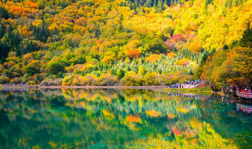 ทัวร์จีน เฉิงตู 6 วัน 5 คืน MTWT260094 อุทยานเขาสี่ดรุณี หุบเขาซวงเฉียวโกว อุทยานจิ่วจ้ายโกว ย่านคนเดินซุนซีลู่ บิน 9C (BKK)