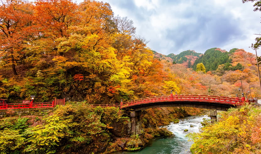 ทัวร์ญี่ปุ่น โตเกียว นิกโก้ 6 วัน 4 คืน ZGHND-2640NH สะพานชินเคียว หมู่บ้านโอชิโนะฮัคไค ฟรีเดย์ 1 วัน บิน NH (BKK)
