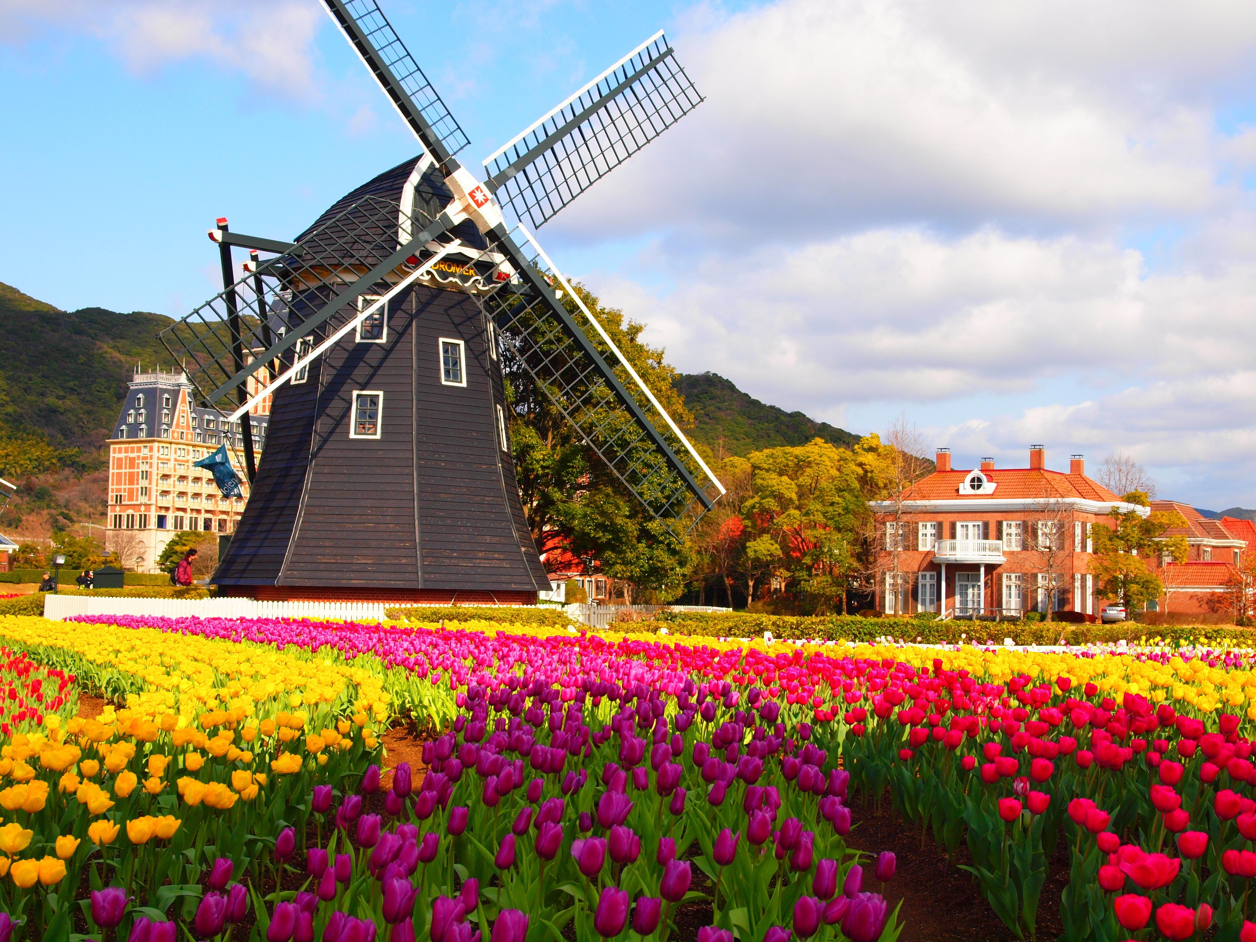 เฮ้าส์เทนบอช - Huis Ten Bosch
