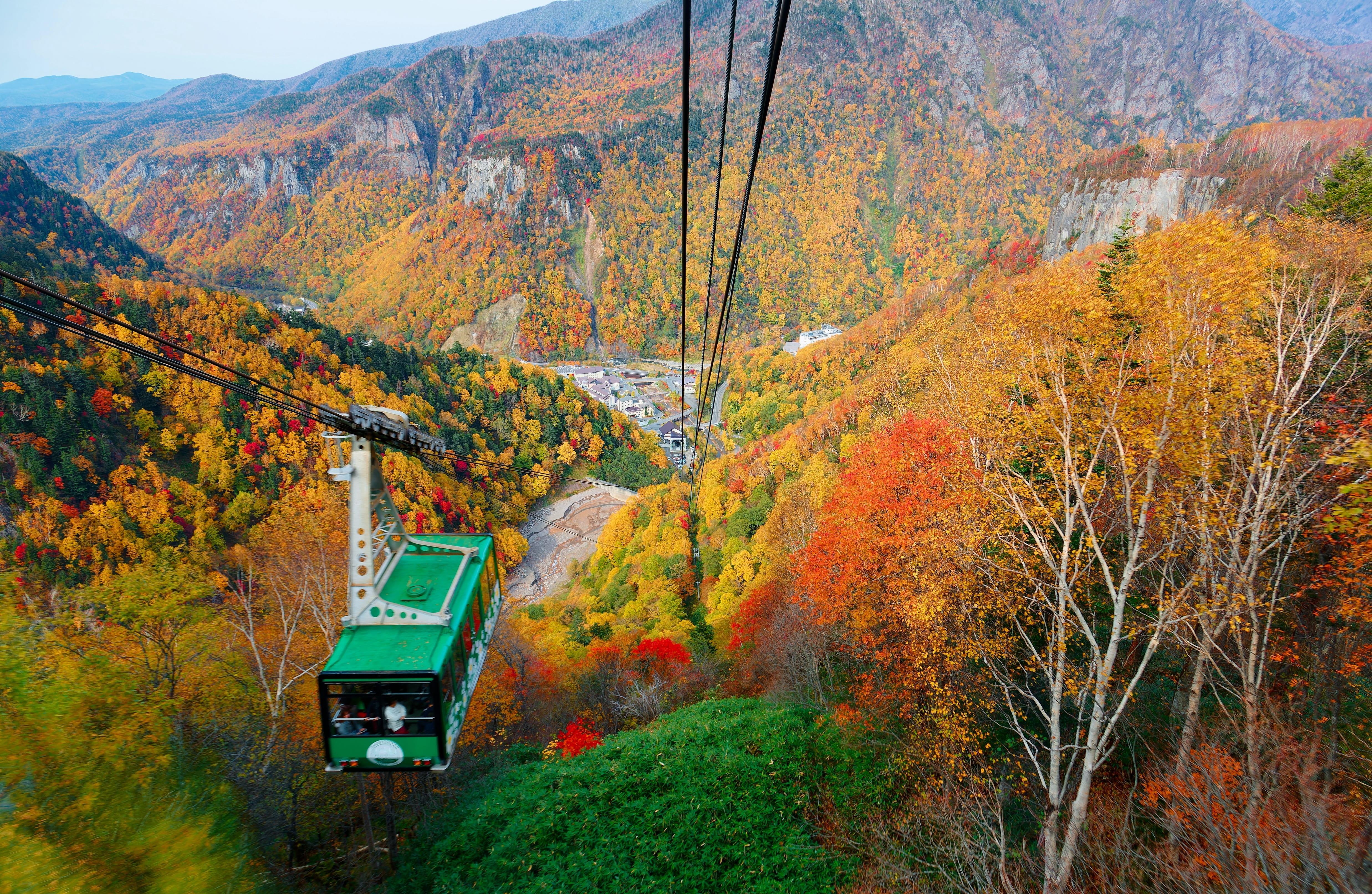 เปิดวาร์ป 7 จุดชมใบไม้เปลี่ยนสีที่ฮอกไกโด