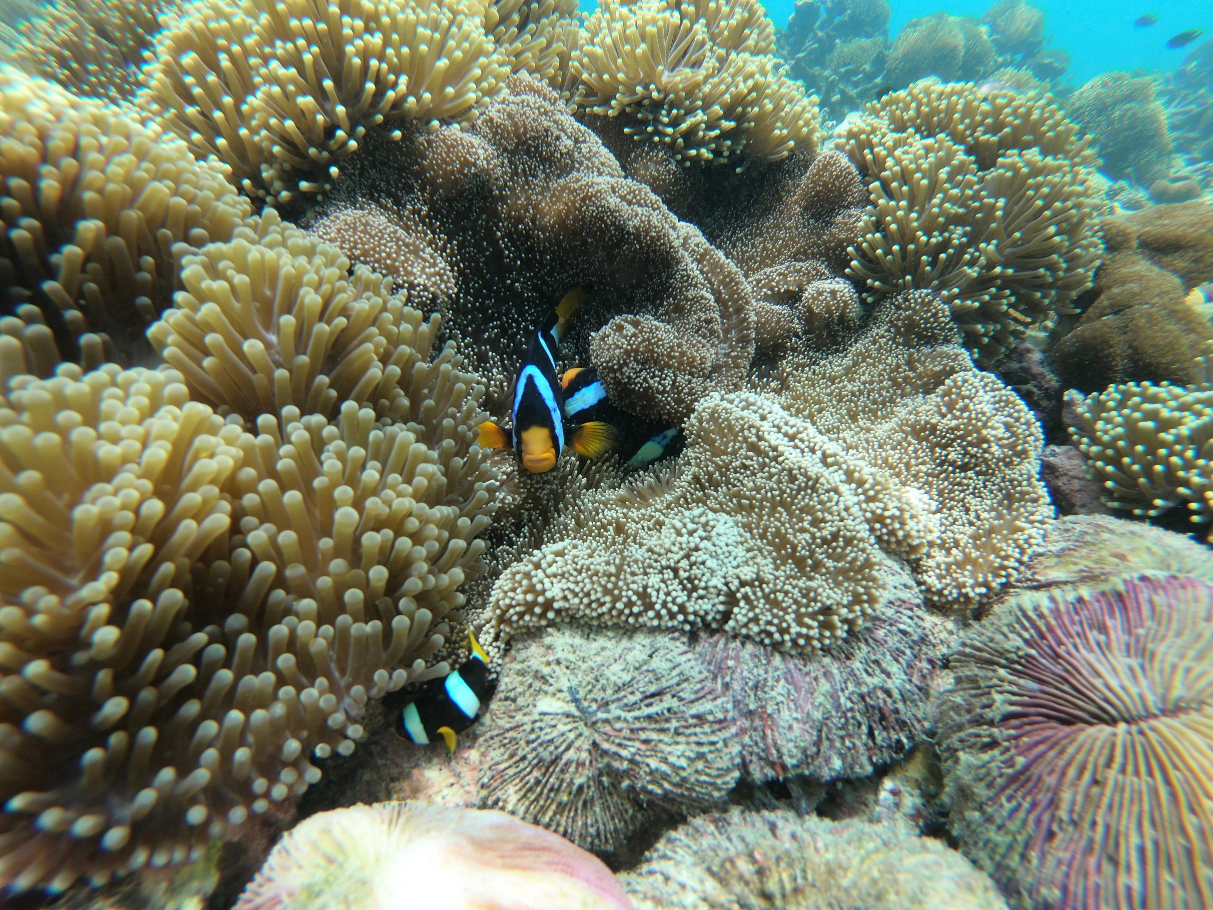 10 จุดเที่ยวทะเลพม่า สวยมากไปเที่ยวเลยหน้าร้อนนี้